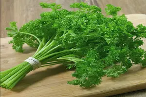 How to grow parsley