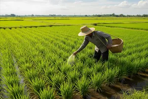 Recommended Dose of Fertilizer For Rice Farming: Easy Steps for Better Yield